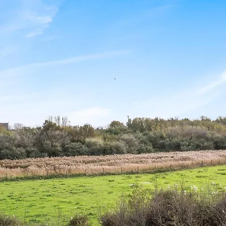 Feriehus Duinenhuisje